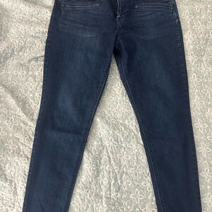 Banana Republic Blue Skinny Jeans Versatile Stretchy Fit